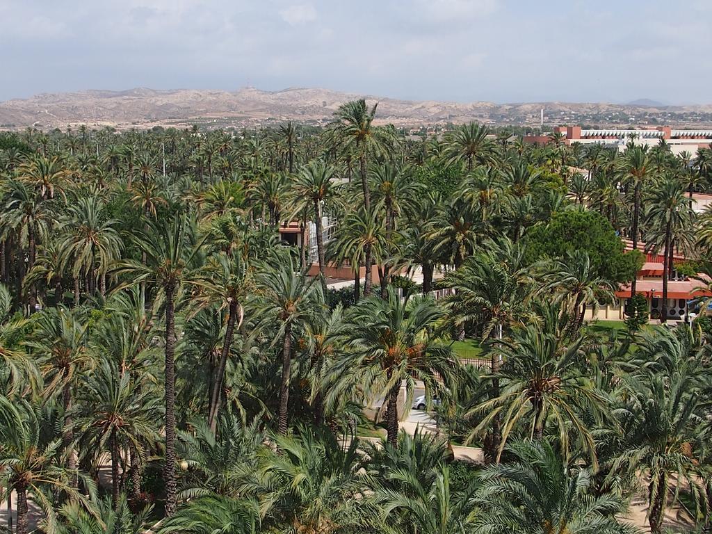 Piso Centro Maria Aire-Wifi Apartment Elche Ngoại thất bức ảnh